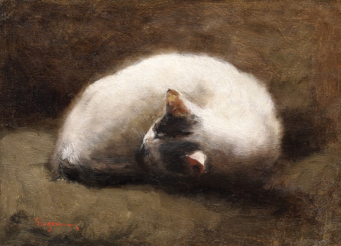 Guided tour of the Dogs vs. Cats exhibition
