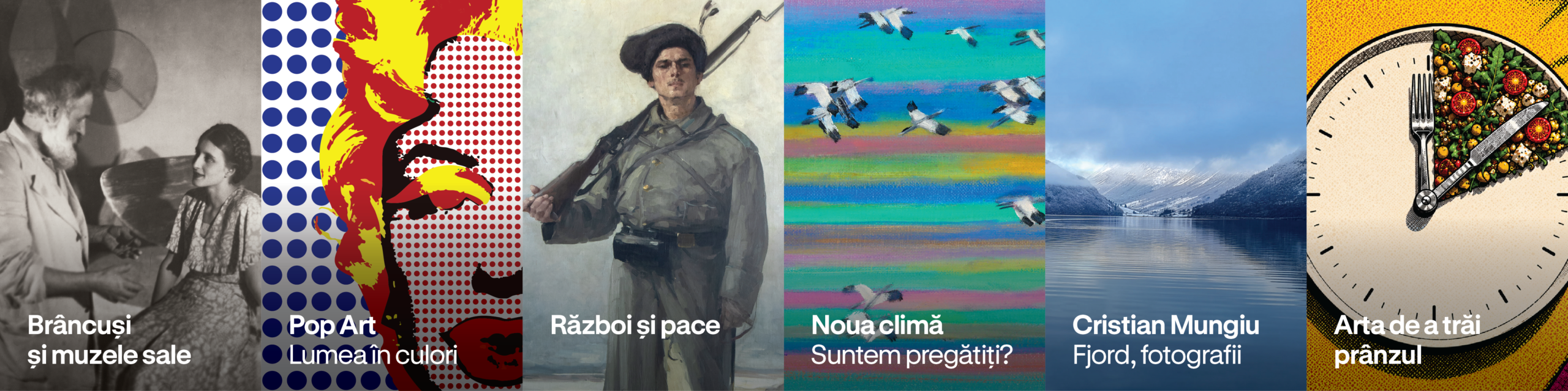 Art Safari