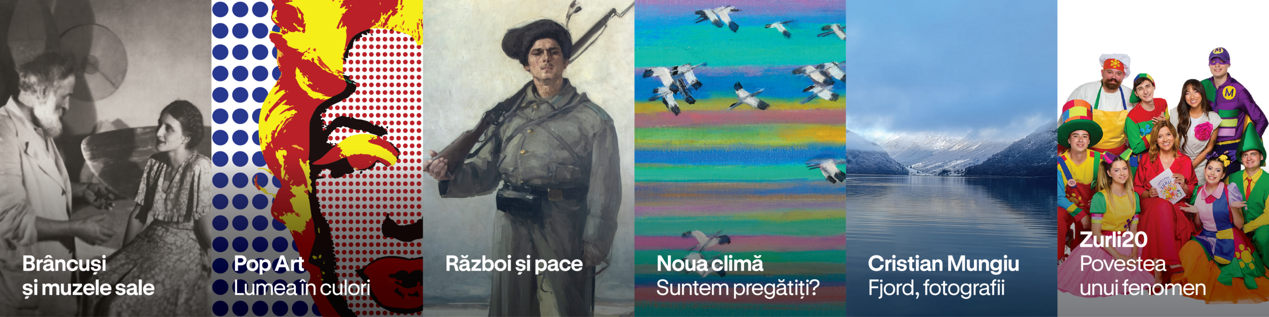 Art Safari